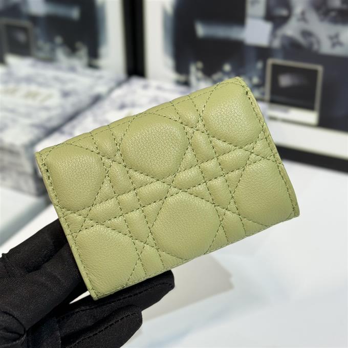 2025228Y 220P182145332